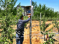 2016年4月山东海阳果园午夜精品福利视频圆满结束