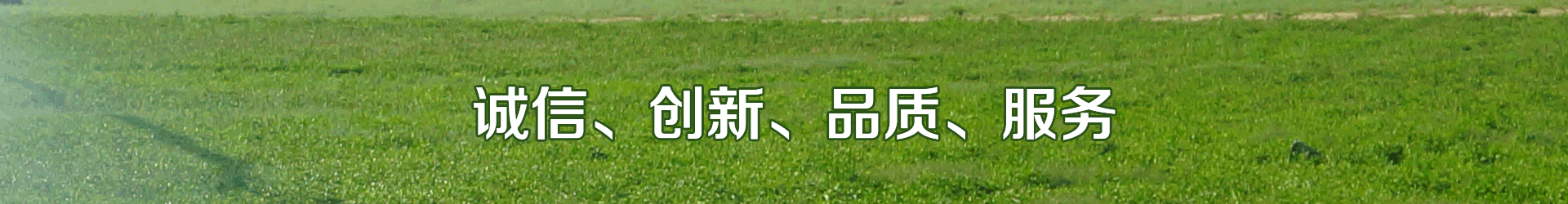 午夜精品福利视频系统