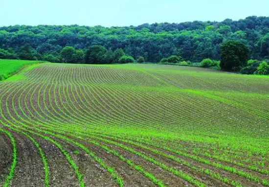 午夜精品福利视频系统 午夜精品福利视频系统
