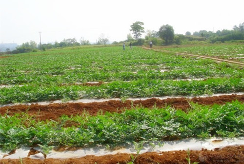 午夜精品福利视频系统 午夜精品福利视频系统