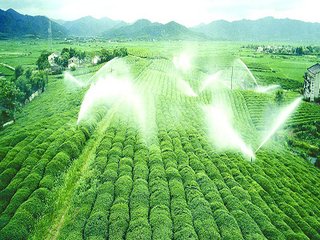 农业午夜精品福利视频