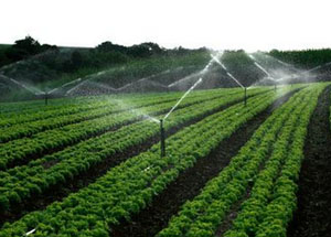 节水午夜精品福利视频 节水午夜精品福利视频