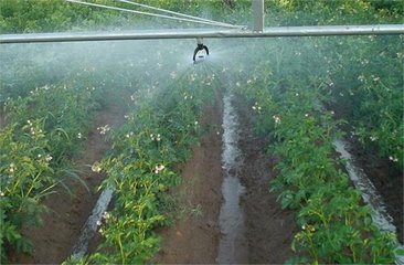 午夜精品福利视频系统厂家