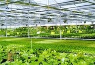 节水午夜精品福利视频厂家 节水午夜精品福利视频厂家