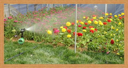 农业午夜精品福利视频 农业午夜精品福利视频