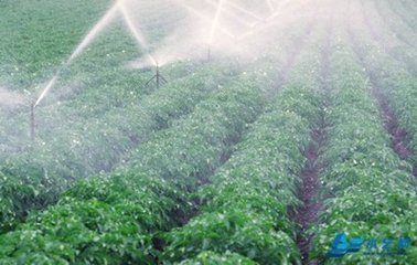 节水午夜精品福利视频