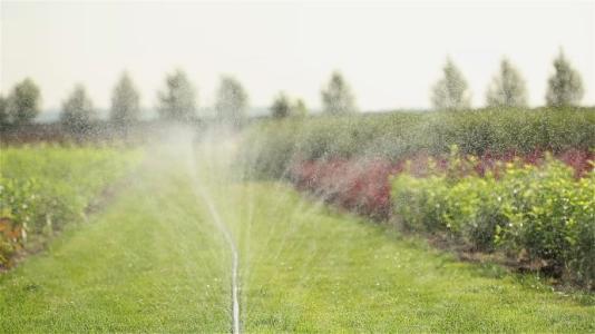 农业灌溉 农业灌溉