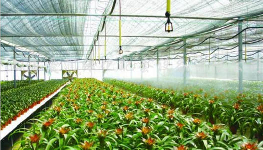 农业午夜精品福利视频 农业午夜精品福利视频