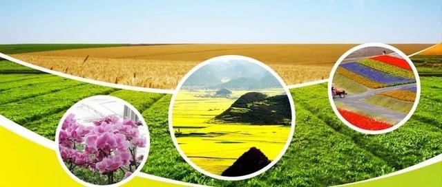 1544079063320156.jpg 2.jpg