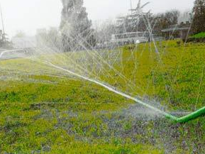 农业午夜精品福利视频 农业午夜精品福利视频