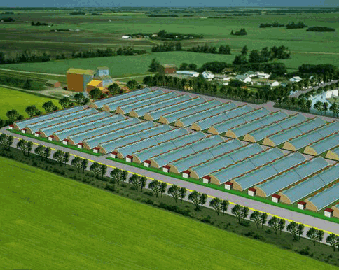 午夜精品福利视频系统 午夜精品福利视频系统